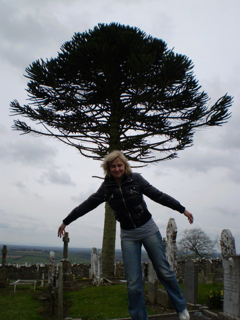 Sirin35 - Ein Traum von mir!